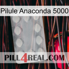 Anaconda 5000 Pill 16